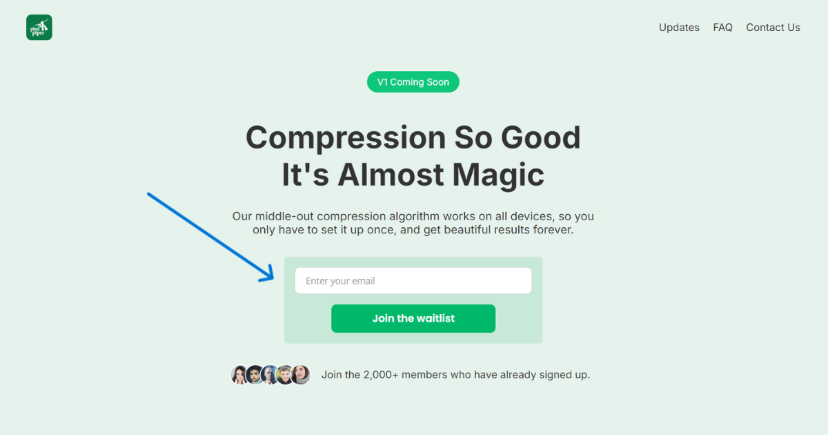 Your waitlist form is displayed on your website